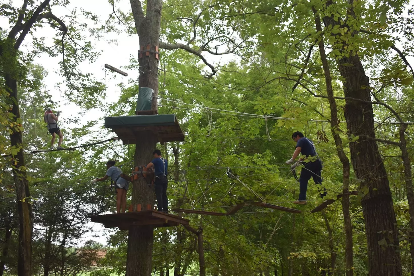 Experience the High Ropes with Adults and Child Admissions 