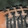 Image 5: Get Stunning Ladies Box Braids / Knotless Braids or Fulani Braids