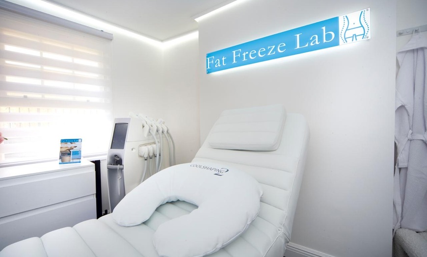 Image 4: Up to 64% Off on Cryotherapy at Fat freeze lab