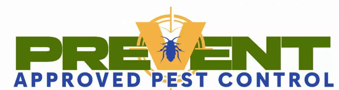 Interior & Exterior Rodent, Insect Pest Control For Up To Five Rooms!