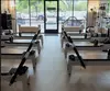 Spring Pilates EDH offers Limitless Pilates Reformer Classes for a month with up to 20% off