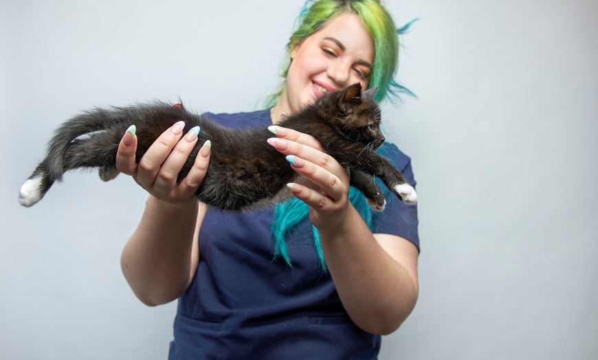 Image 2: Comprehensive vet exam for your furry friend