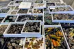 Dive into a Unique Maker's Marketplace at Escondido Bead & Design Show with Tickets up to 40% off - Second Medium