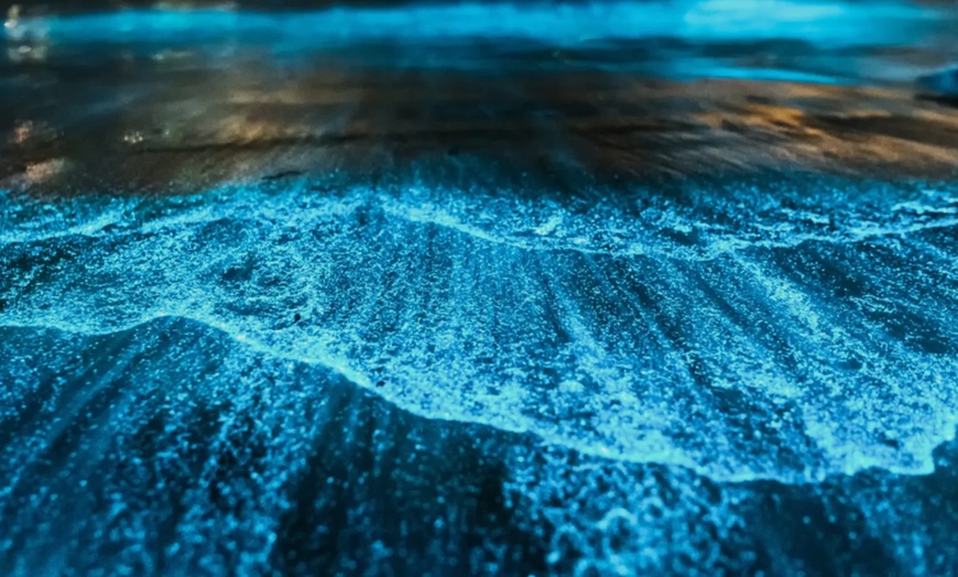 Image 3: Private Bioluminescent Boat Tour for up to 6