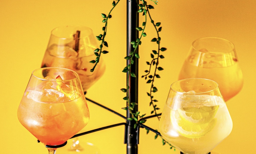 Image 3: Enjoy Ambra’s Signature Gin and Liqueur Flights w/ G&T Tree Experience