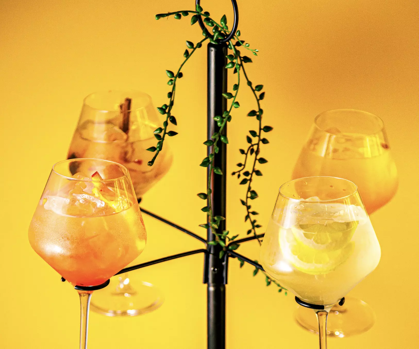 Enjoy Ambra’s Signature Gin and Liqueur Flights w/ G&T Tree Experience