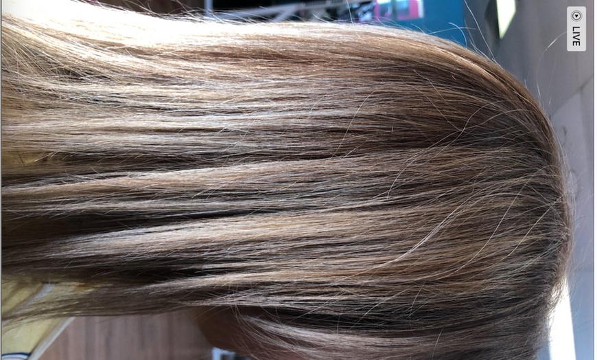 Image 7: Get a Fresh New Look with Color, Haircut, and more!