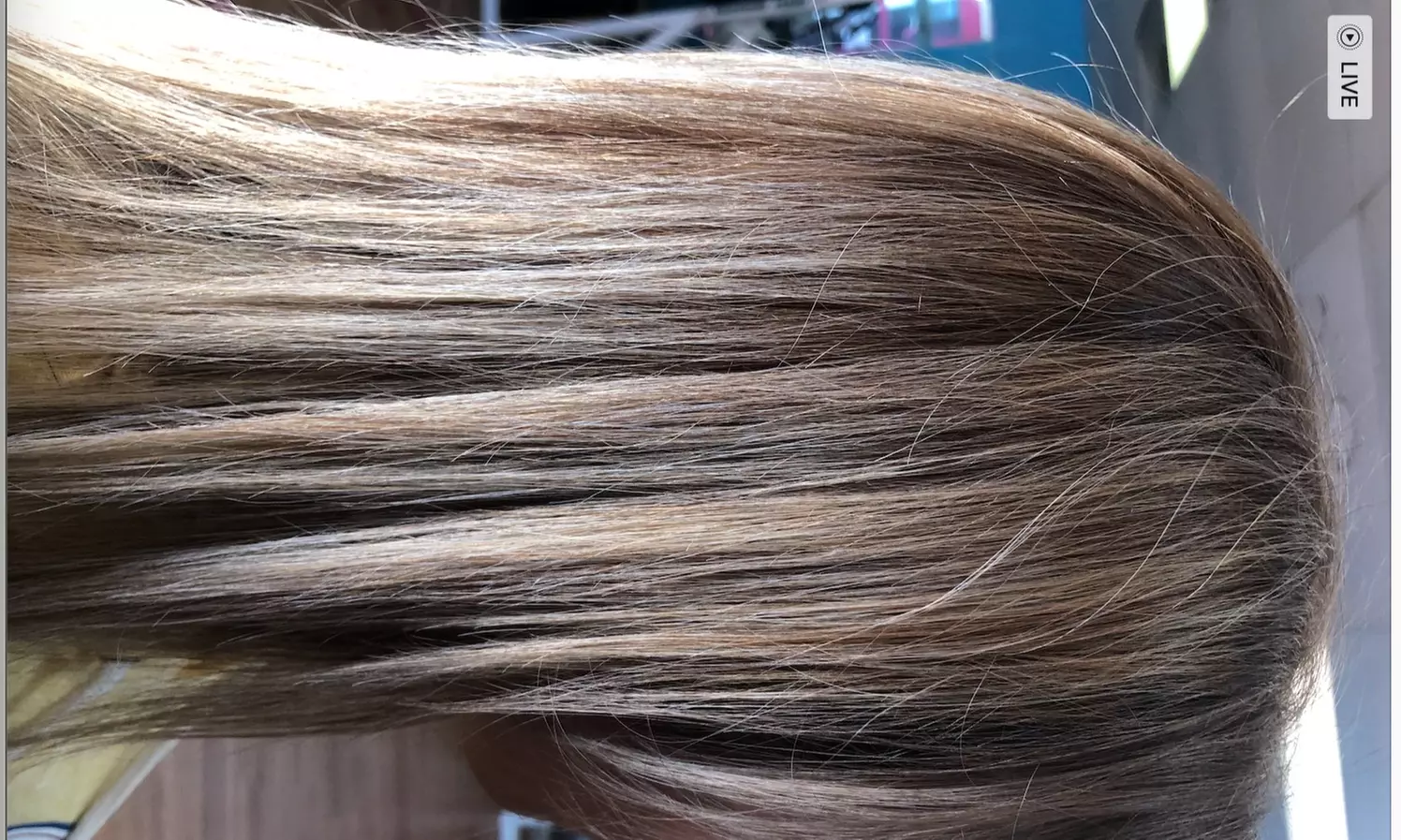 Get a Fresh New Look with Color, Haircut, and more!