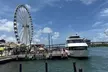 Explore Iconic Miami Landmarks Tour+ Millionaire’s Row Cruise for 1, 2, 3, or 4 (Up to 45% Off) - Second Medium