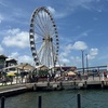 Image 6: Explore Iconic Miami Landmarks Tour+ Millionaire’s Row Cruise for 1, 2, 3, or 4 (Up to 45% Off)