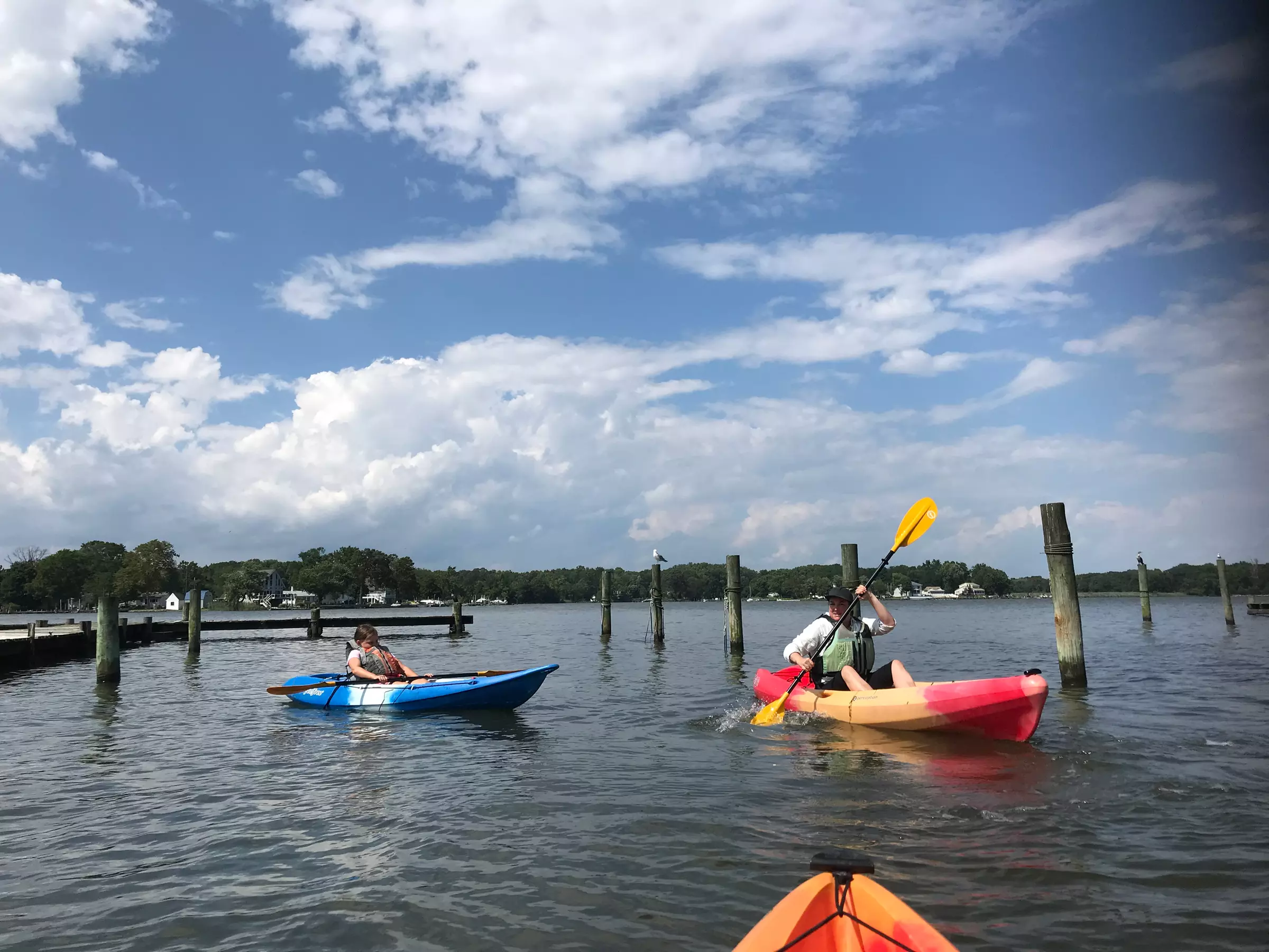 Enjoy One Hour Of Kayaking for Two, or Four