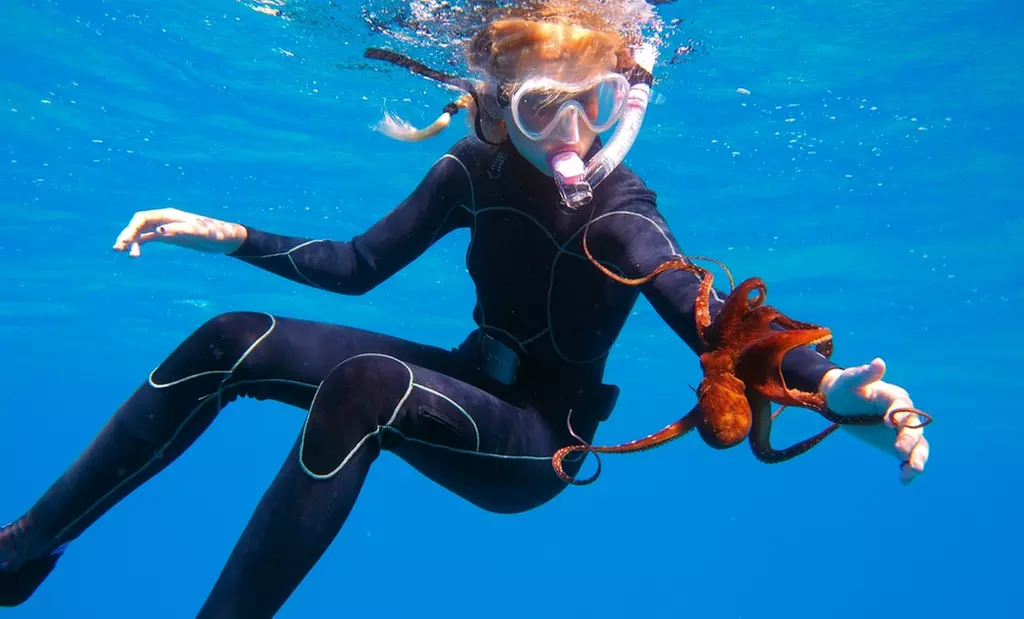 Gather Your Group for a Snorkel Adventure for 2, 4 or 6 People