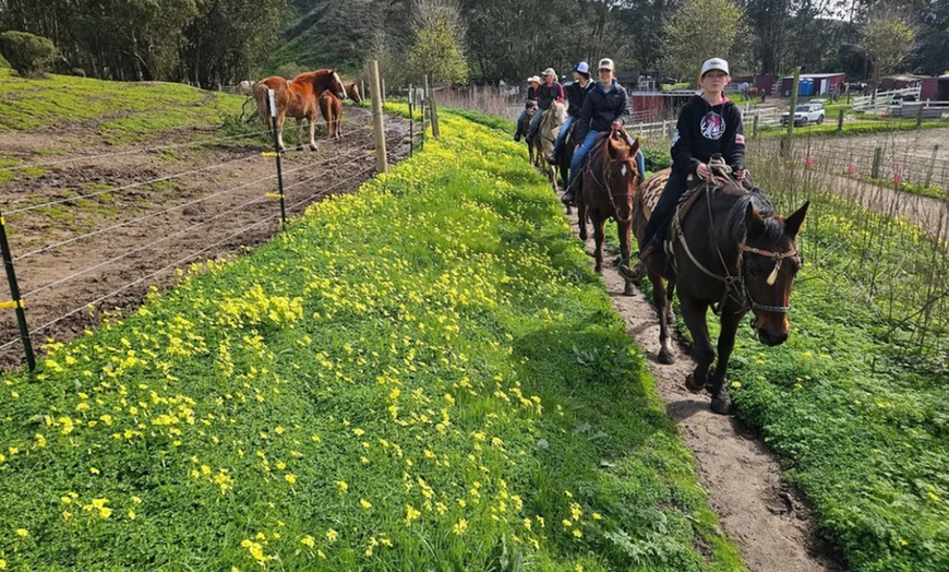 Image 1: Horse Back Riding Lessons for 1-4 People w/ Experts in Moss Beach, CA