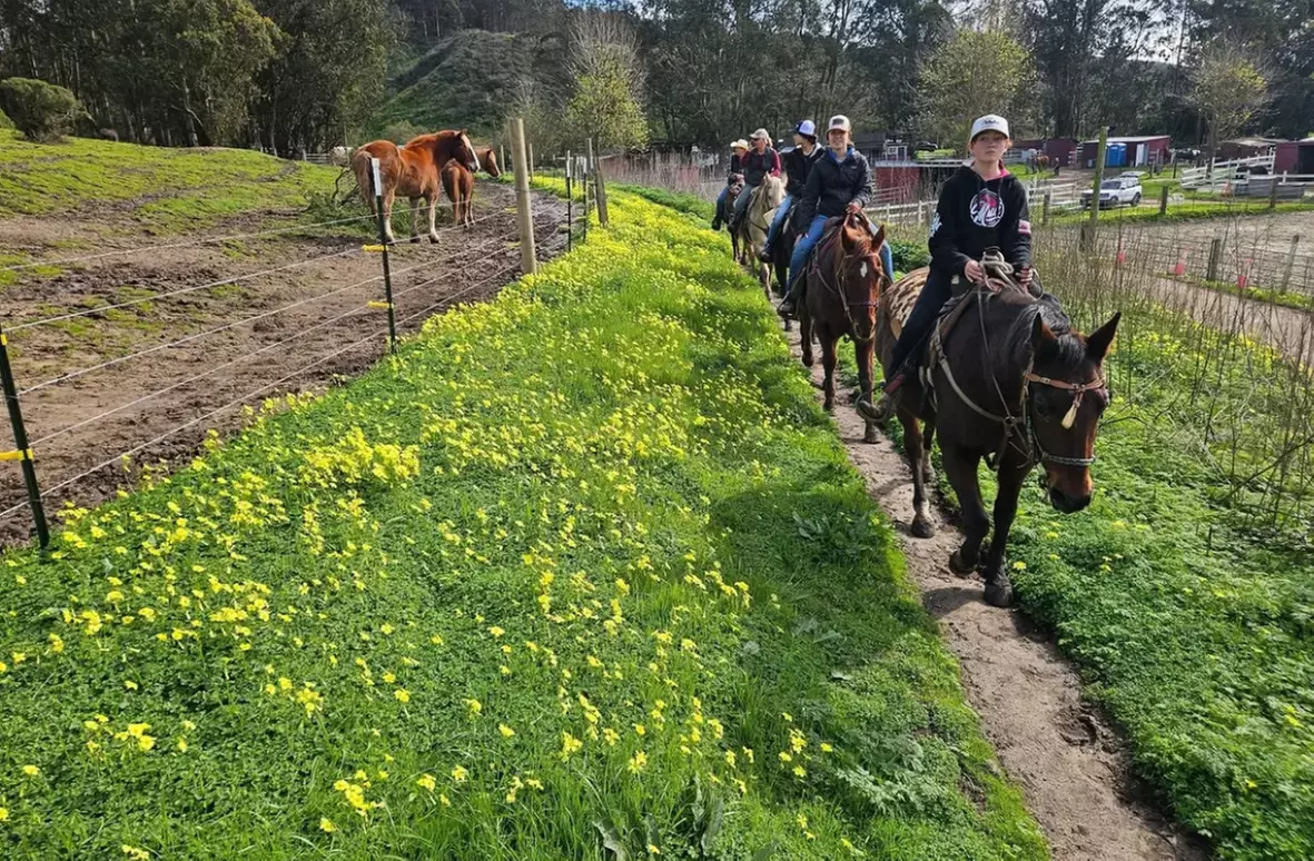 Horse Back Riding Lessons for 1-4 People w/ Experts in Moss Beach, CA