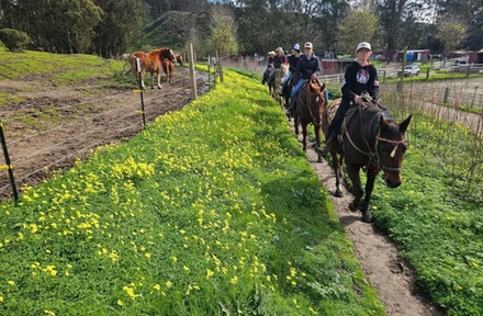 Horseback Riding - For 1 (60min) - Coastside Trail Rides at Ember Ridge - Moss Beach, CA