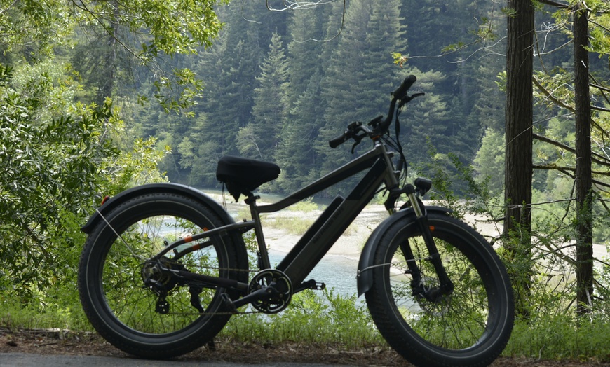 Image 3: Escape to Redwoods: 2-Hr Private E-Bike Tour - Up to 4, 5 or 6 Riders 