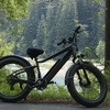 Image 3: Escape to Redwoods: 2-Hr Private E-Bike Tour - Up to 4, 5 or 6 Riders 
