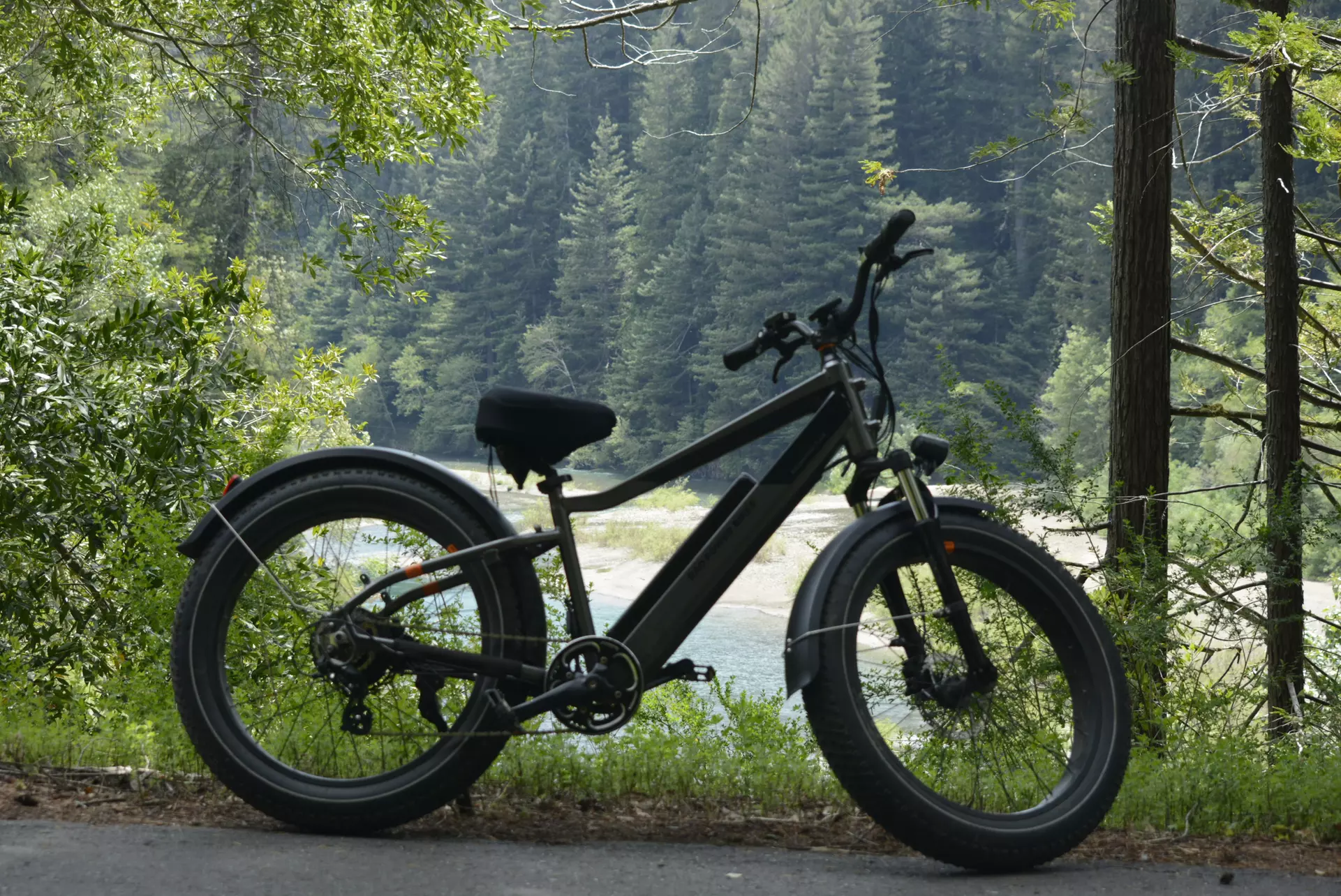 Escape to Redwoods: 2-Hr Private E-Bike Tour - Up to 4, 5 or 6 Riders 