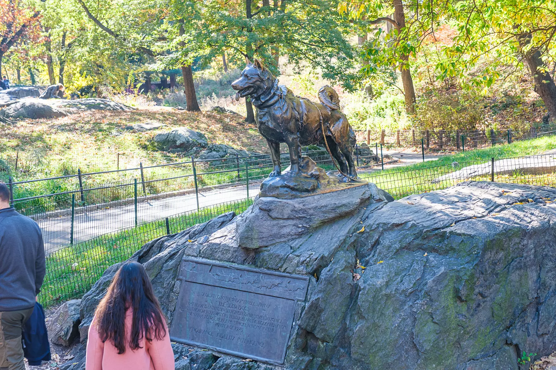 Pedicab Tours: Central Park's Iconic Landmarks