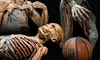 Unlock the Wonders of Anatomy at Bodies Human: Interactive Exhibits for All Ages