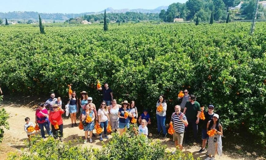 Image 7: Elabora tu propio vermut y visita un lugar emblemático para 1, 2 o 4 