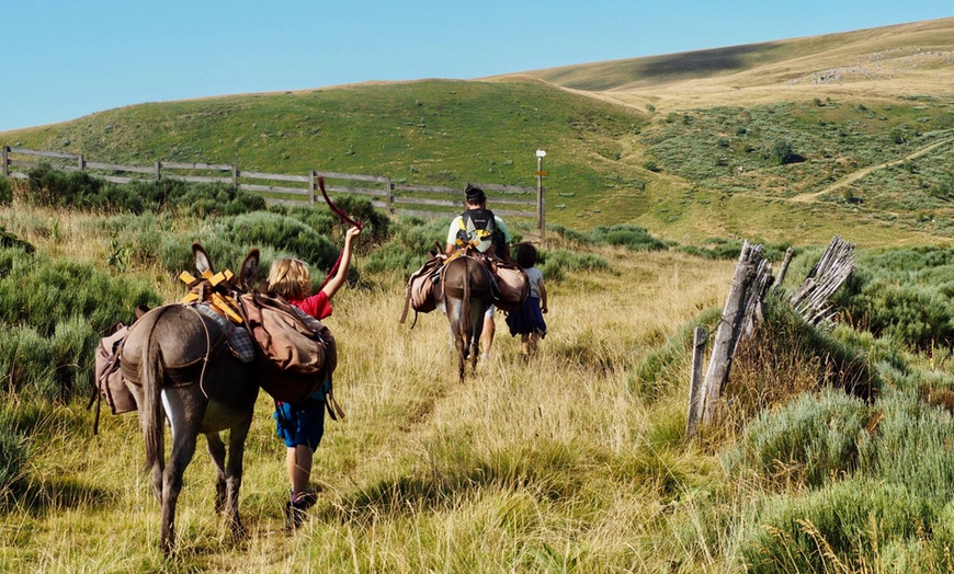Image 4: Jusqu'à 40% de remise sur Équitation - Loisir chez Le Col De La Molède À Cheval