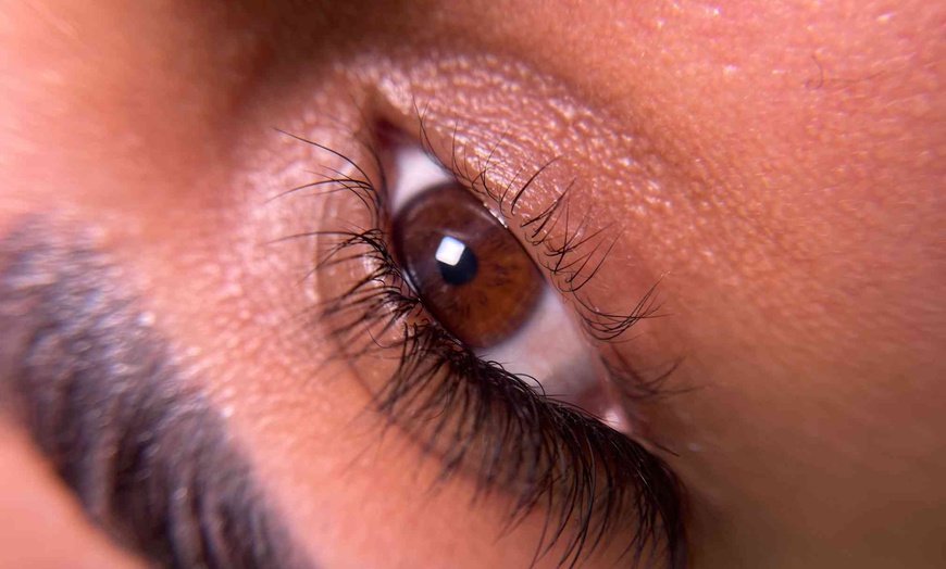 Image 2: One Eyelash Lift w/ or w/o Tint, Classic Full Set or Combo Package at Aeloria Lash Co (Up to 50% Off)