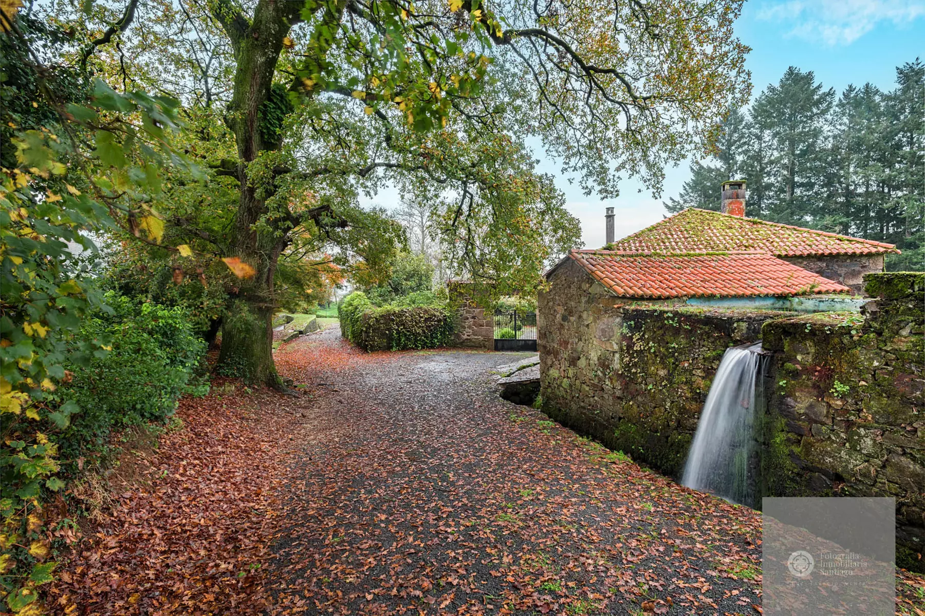 Fotografía inmobiliaria y de interiores de hasta 30 fotos para 1