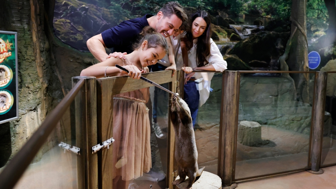 Double The Fun: Dubai Aquarium W Penguin Cove + Choice Of Attraction