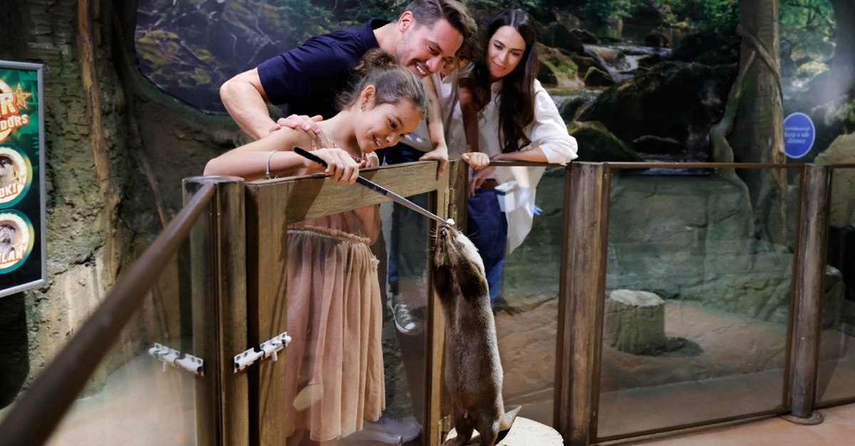 Double The Fun: Dubai Aquarium W Penguin Cove + Choice Of Attraction Double The Fun: Dubai Aquarium W Penguin Cove + Choice Of Attraction