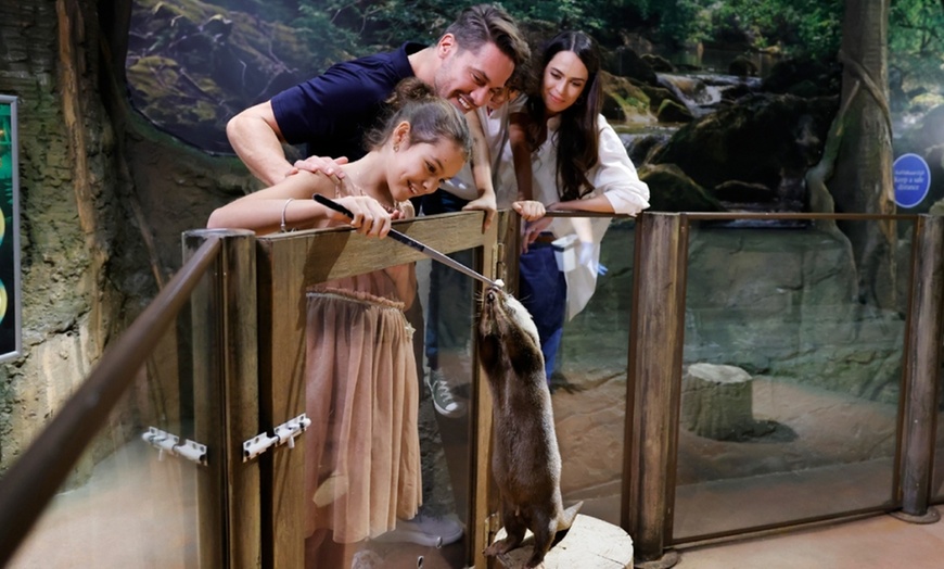 Image 1: Double the Fun: Dubai Aquarium w/ Penguin Cove + Choice of Attraction