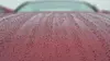 Choose Your 1 or 3  Year Ceramic Coating at Show Room Ceramic Coatings & Graphic Wraps- Up to 58% Off