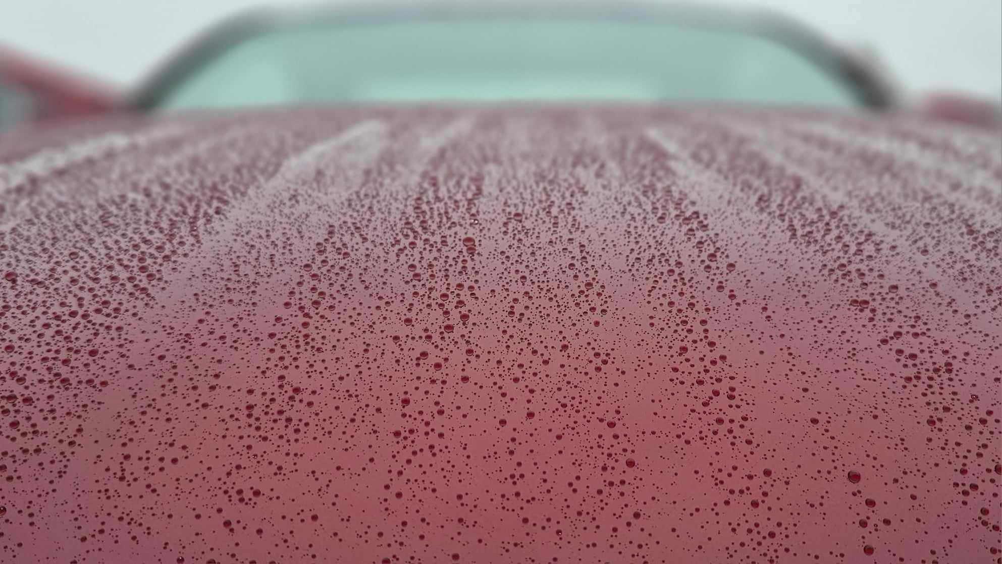 Protect & Shine: Choose Your One or Three-Year Ceramic Coating
