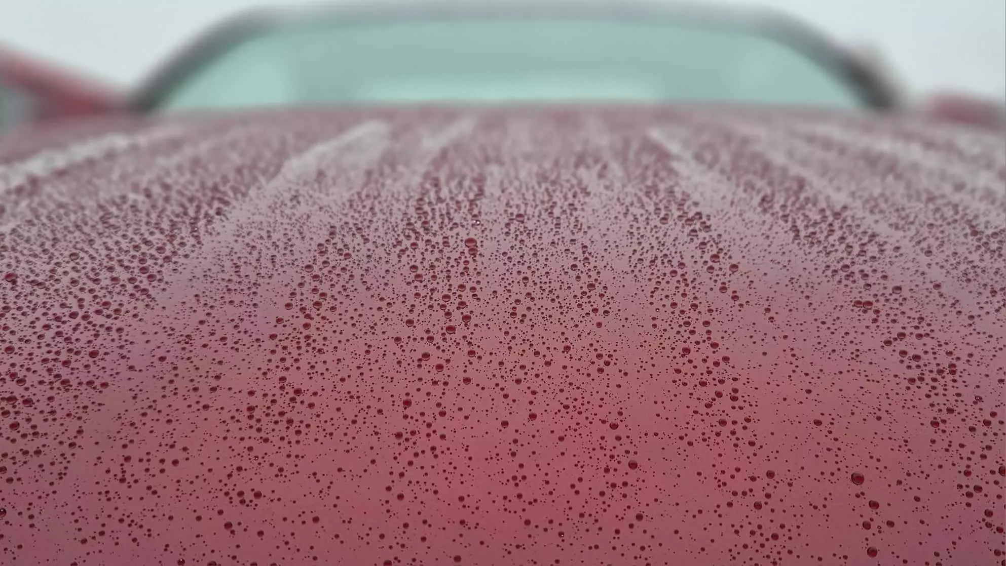 Protect & Shine: Choose Your One or Three-Year Ceramic Coating