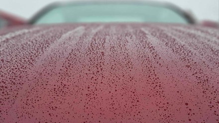 One Year Ceramic Coating - Show Room Ceramic Coatings & Graphic Wraps