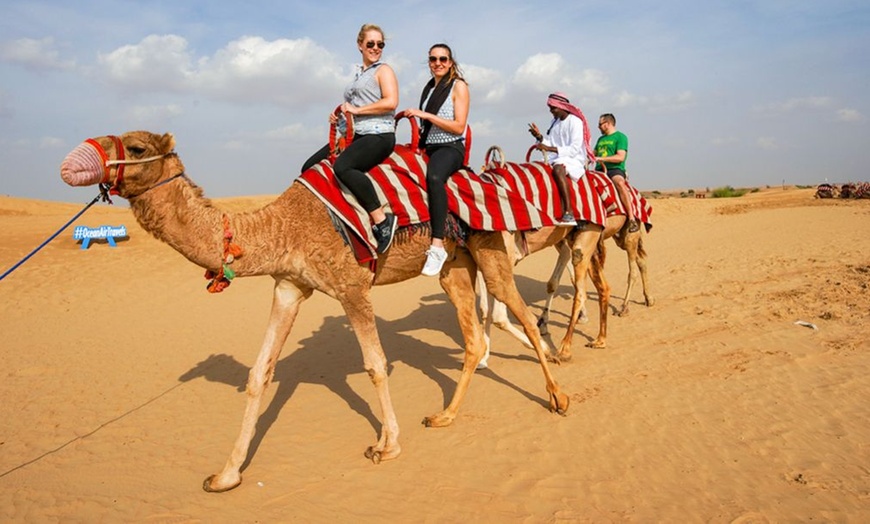 Image 5: Desert Safari with Falcon Photos