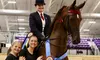 Up To 48% Off On Saddle Seat Riding with Two, Four, or Eight Horse Back Riding Lessons