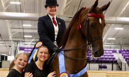 Two Horse Back Riding Lessons - Paragon Stables