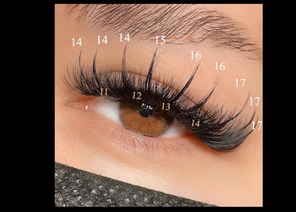 One Full Set of Classic Eyelash Extensions - Lotus Beauty Salon & Spa