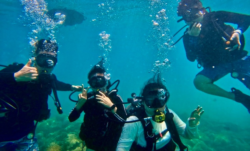 Image 4: Explore Honolulu’s Underwater Wonders: Try Scuba Diving's Guided Scuba Tours with Gear & Videos- Up to 66% Off