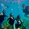Image 4: Explore Honolulu’s Underwater Wonders: Try Scuba Diving's Guided Scuba Tours with Gear & Videos- Up to 66% Off