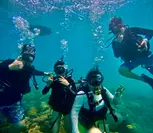 Explore Honolulu’s Underwater Wonders: Try Scuba Diving's Guided Scuba Tours with Gear & Videos- Up to 66% Off