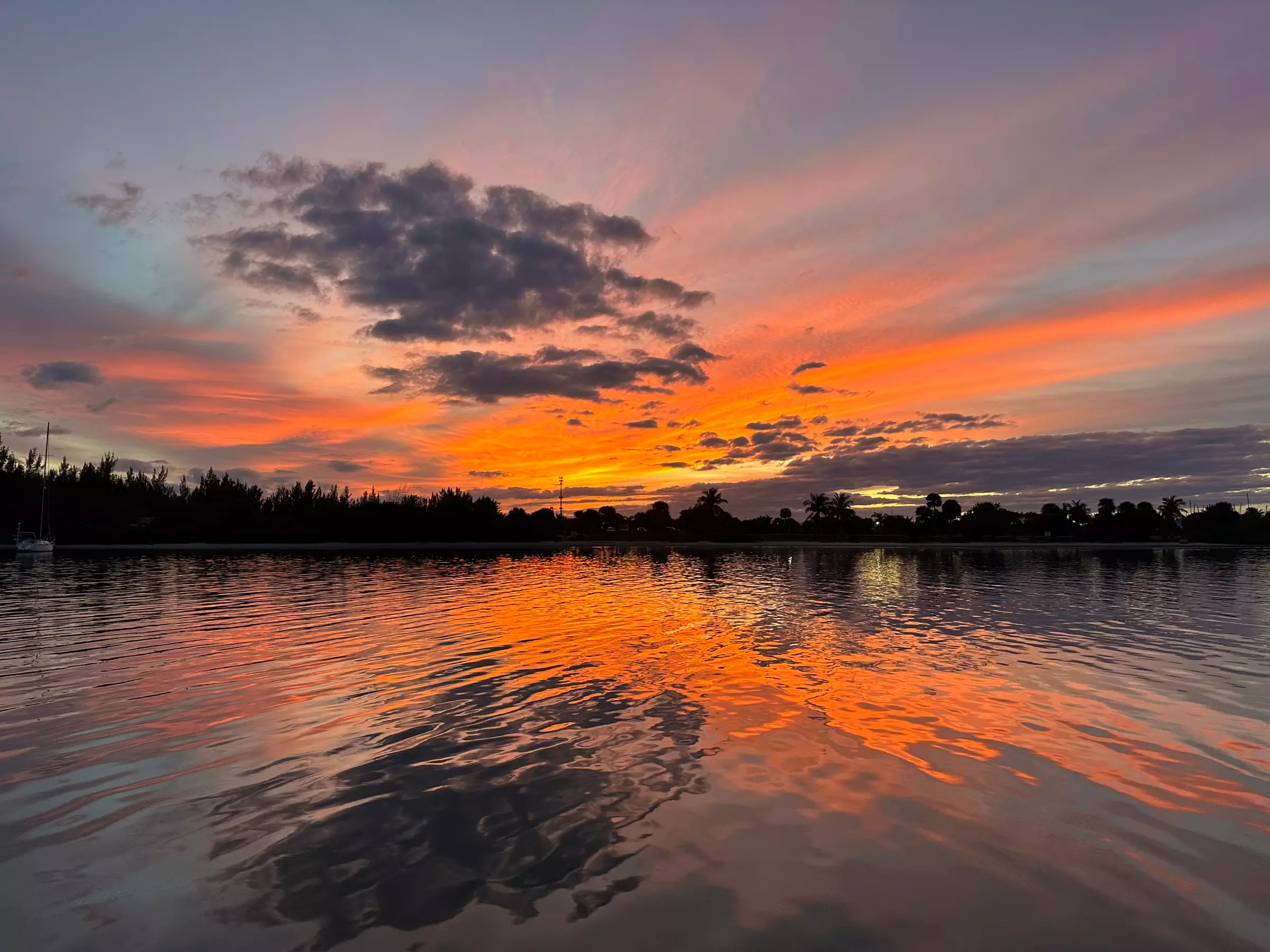 All-in-One Sunset, Dolphin, Eco & History Tour - St. Augustine