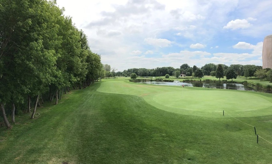 Image 5: 9-Hole Par-3 Golf with Cart – Minneapolis Metro