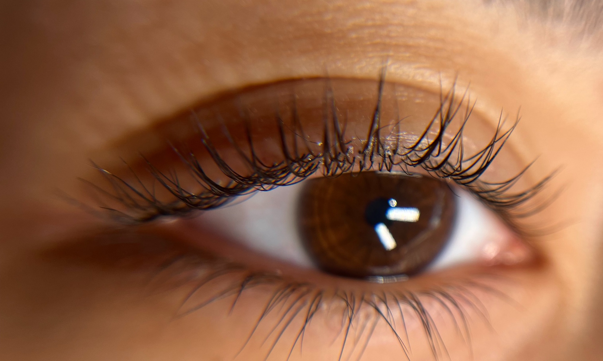 Discover Levic's Salon: Eyelash Perm or Tint Options Available with Up to 50% Off