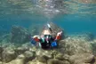 (Up to 58% Off) Unforgettable Snorkel Adventure for up to Six People at Banzai Divers Hawaii - Second Medium