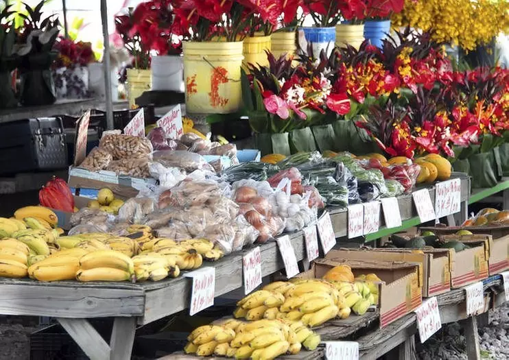 Small-Group Hilo Cruise Ship Shore Excursion