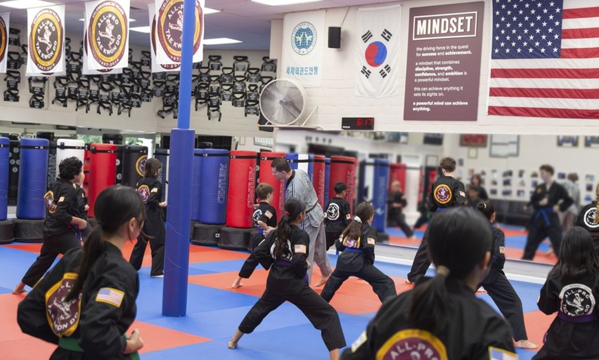 Image 6: 10 Days of Unlimited Tae Kwon Do Classes for One or Two Kids