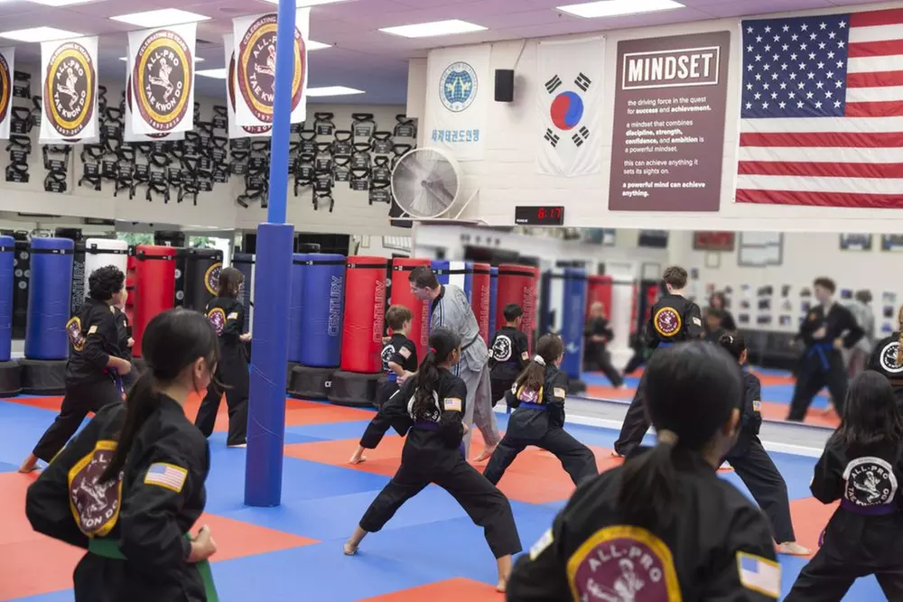 10 Days of Unlimited Tae Kwon Do Classes for One or Two Kids