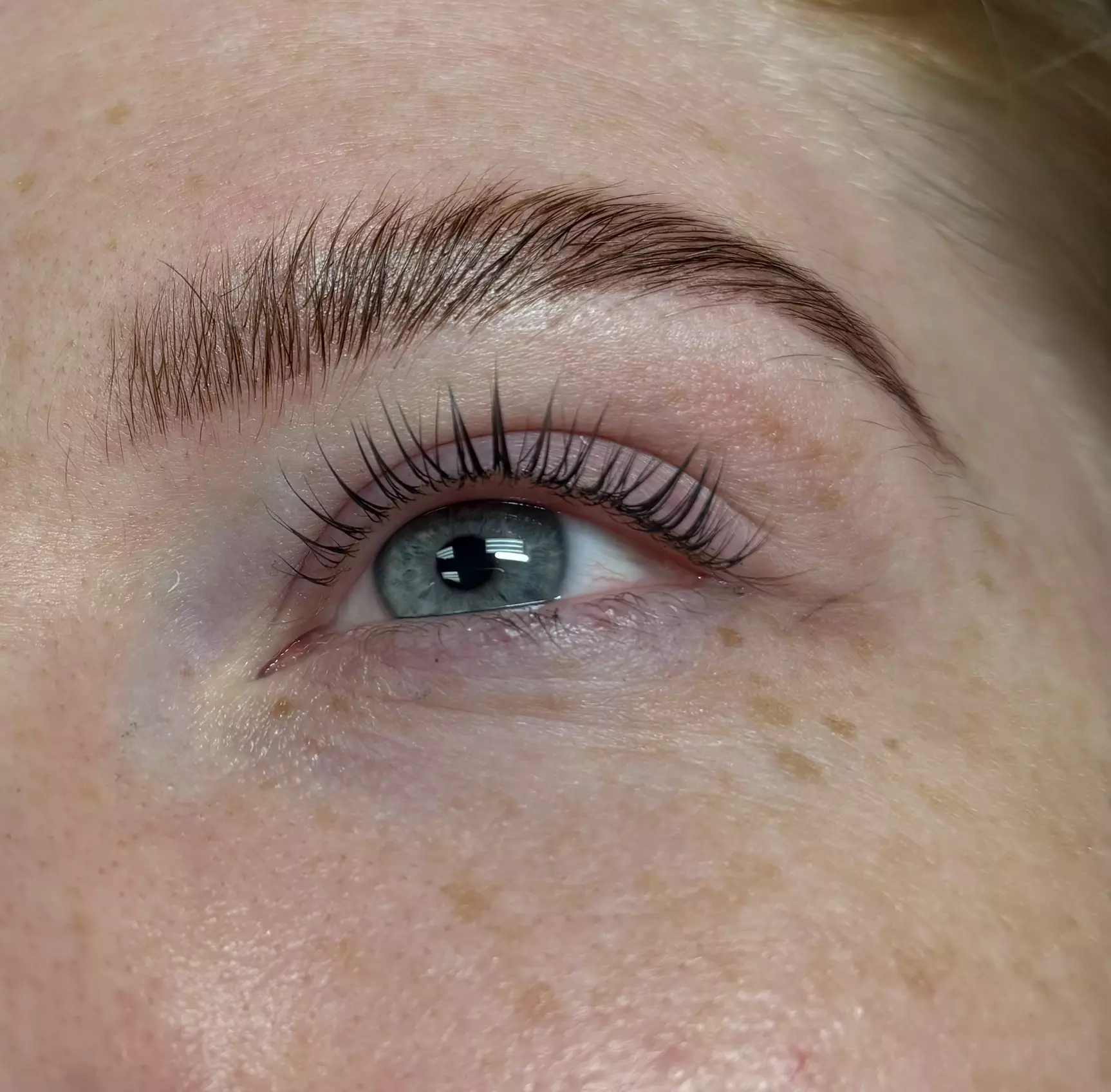 Korean Lash Lift and Tint or Brow Tint and Wax